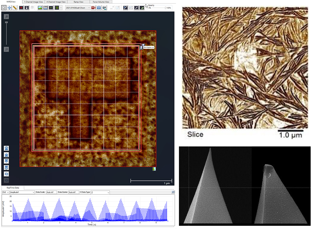 顺时针从左:MIROView画布与SS-PFM RampScript阵列PFM图像;聚合物薄片的DCUBE-PFM图像;在接触模式下使用后磨损的尖端。